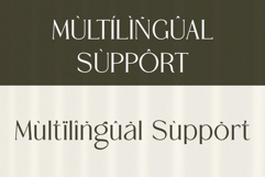 Rogatte || elegant ligature serif Product Image 6