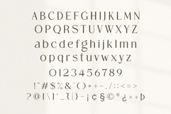 Rogatte || elegant ligature serif Product Image 9