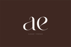 Roilra - Serif Ligature Font Product Image 10