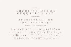 Roilra - Serif Ligature Font Product Image 13