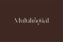 Roilra - Serif Ligature Font Product Image 12