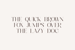 Roilra - Serif Ligature Font Product Image 3