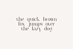 Roilra - Serif Ligature Font Product Image 4