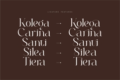 Roilra - Serif Ligature Font Product Image 6