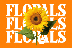 Rolling Basket - Modern Serif Font Product Image 16