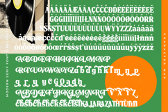 Rolling Basket - Modern Serif Font Product Image 18