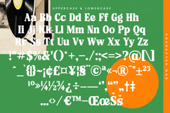 Rolling Basket - Modern Serif Font Product Image 19