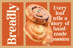 Roman Magicel - Modern Alternate Serif Product Image 5