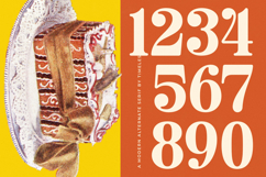 Roman Magicel - Modern Alternate Serif Product Image 14