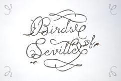 Romance Sunday - Handwritten Script Product Image 9