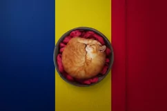 Backgrounds for Photography & Marketing. Romania Product Image 7