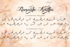 Romantic Amitha Product Image 10
