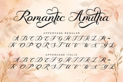 Romantic Amitha Product Image 7