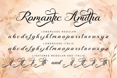 Romantic Amitha Product Image 8