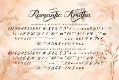 Romantic Amitha Product Image 9