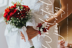 Romantic Devotion - Stylish Signature Font Product Image 10