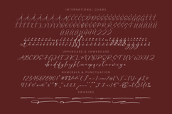 Romantic Devotion - Stylish Signature Font Product Image 18