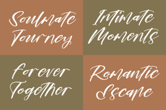 Romantic Mastery - Modern Brush Script Font Product Image 5