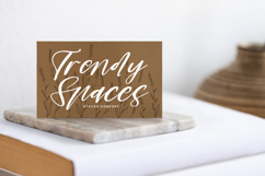 Romantic Mastery - Modern Brush Script Font Product Image 8