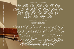 Romantic Mastery - Modern Brush Script Font Product Image 18