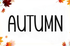 Romantic Mermaid Product Image 5