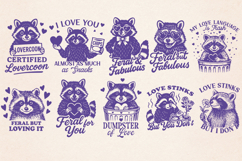 Romantic Raccoon Bundle SVG PNG | 20 Cute &amp; Funny Quotes Product Image 3