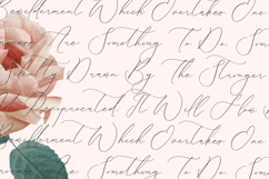 Romeland Sanctuary - Stylish Handwritten Font Product Image 9