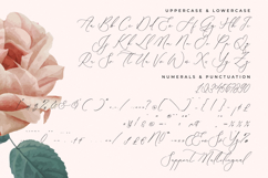 Romeland Sanctuary - Stylish Handwritten Font Product Image 18