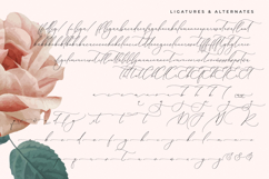 Romeland Sanctuary - Stylish Handwritten Font Product Image 19