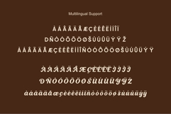 Rondho Luxury Retro Font Duo Sans &amp; Script Product Image 9