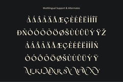Ronsa Classy Modern Bold Serif Font Product Image 10