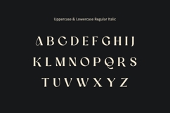Ronsa Classy Modern Bold Serif Font Product Image 11