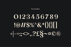 Ronsa Classy Modern Bold Serif Font Product Image 12