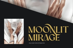 Ronsa Classy Modern Bold Serif Font Product Image 3
