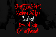 Rony Tegon Dynamic Graffiti Display Font Product Image 6