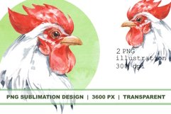 Rooster. Watercolor Sublimation PNG Product Image 1