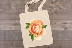 Rosa odorata watercolor sublimation