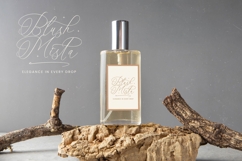 Rosalia Elegant - Stylish Calligraphy Font Product Image 16