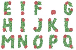 Rose and Leaf Floral Alphabet Lettering Font ABC PNG Type Product Image 3