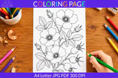 Wild Rose coloring page A4 Letter JPG PDF Product Image 1