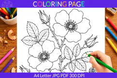 Wild Rose coloring page A4 Letter JPG PDF Product Image 2