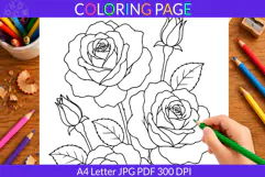 Rose coloring page A4 Letter JPG PDF Product Image 2