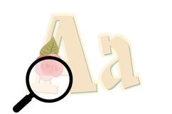 Rose Fairytale Color Font Product Image 7