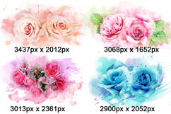 Roses Watercolor Clipart Sublimation Flowers PNG Product Image 2