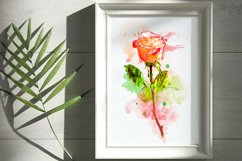 Roses Watercolor Clipart Sublimation Flowers PNG Product Image 6