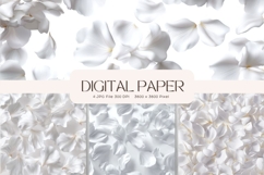 Rose Flower Background Digital Paper Wallpaper Backdrop_5 Product Image 1