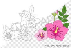 Rose of Sharon Color &amp; Line Art EPS SVG PNG Clipart Korean Product Image 1