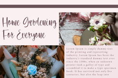Rose Seravina Font Product Image 4