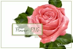 Single rose sublimation | Floral PNG | hand-drawn flower Product Image 1