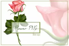 Single rose sublimation | Floral PNG | hand-drawn flower Product Image 1
